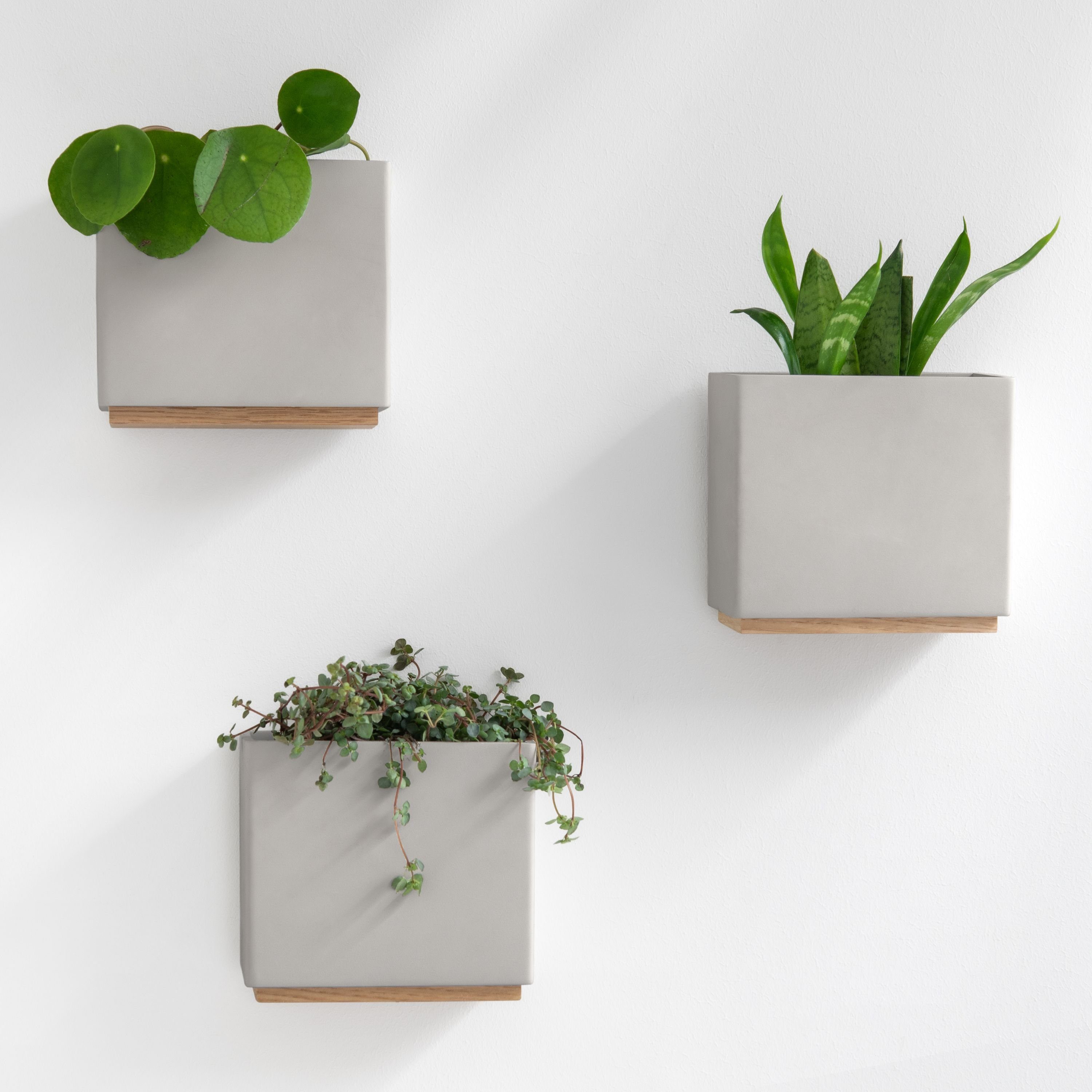 KAZAI. Blumentopf Alma Wandvasen aus hochwertigem Resin und Echtholz